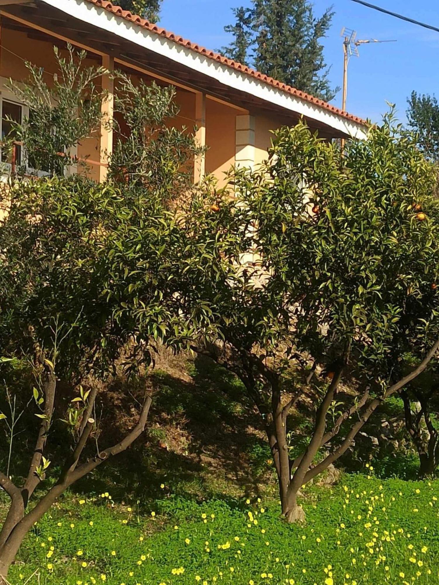 Takis & Eirini Family Apartments Perama  Extérieur photo